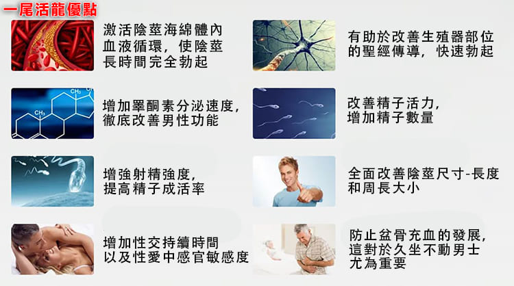 COD单页系统建站,联系QQ：/微信：Cod_web