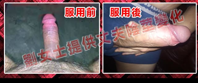 COD单页系统建站,联系QQ：/微信：Cod_web