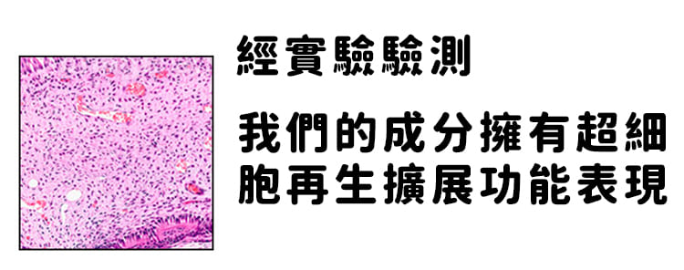 COD单页系统建站,联系QQ：/微信：Cod_web