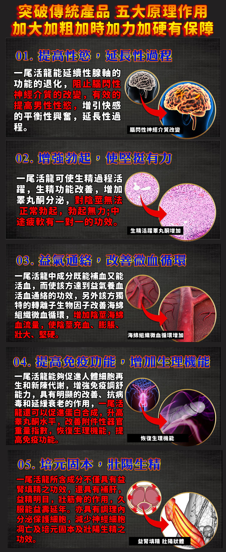 COD单页系统建站,联系QQ：/微信：Cod_web